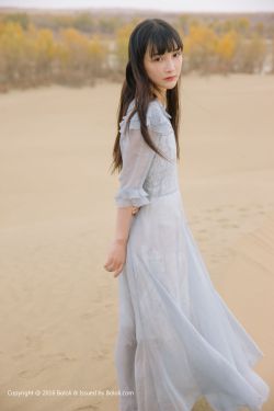 杨门女将初征